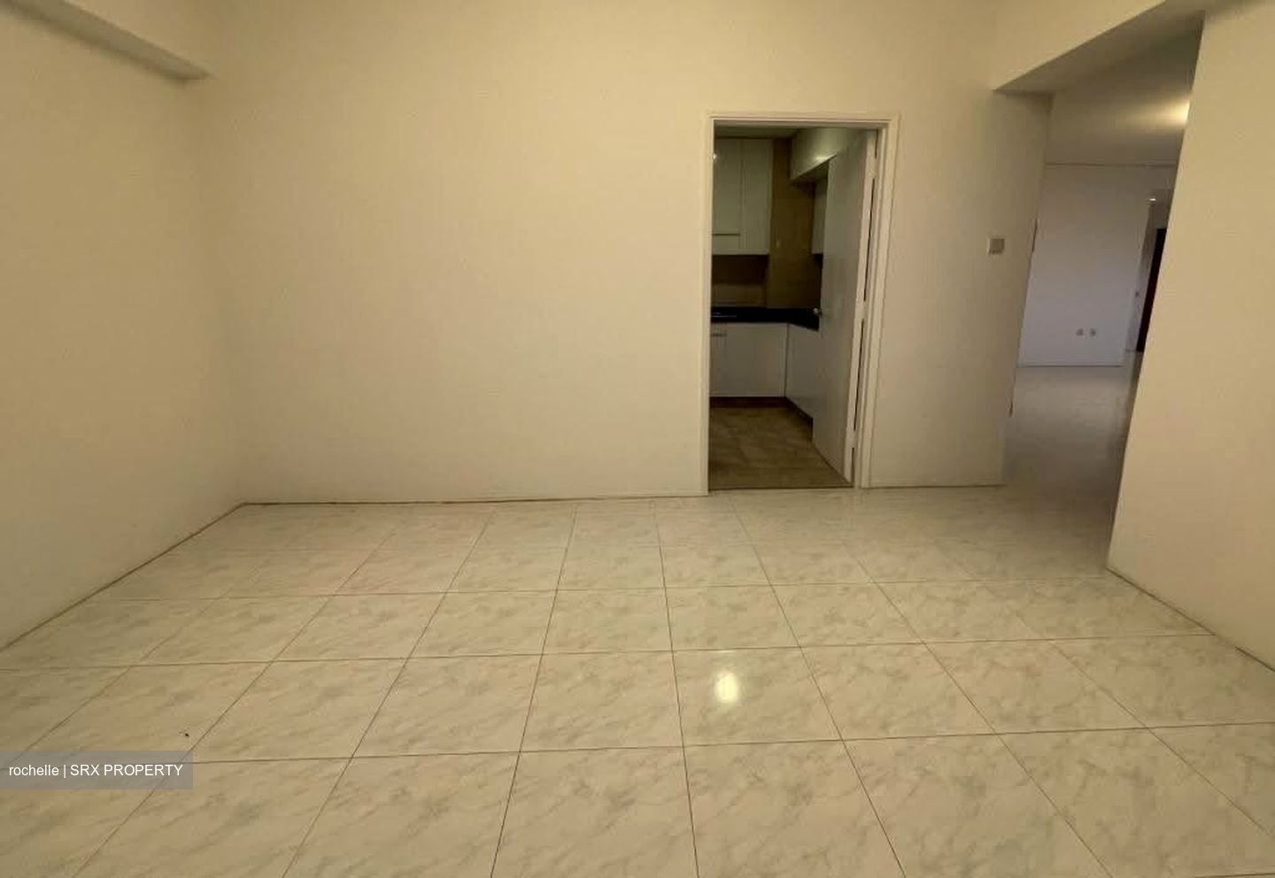 The Cairnhill (D9), Condominium #617174591